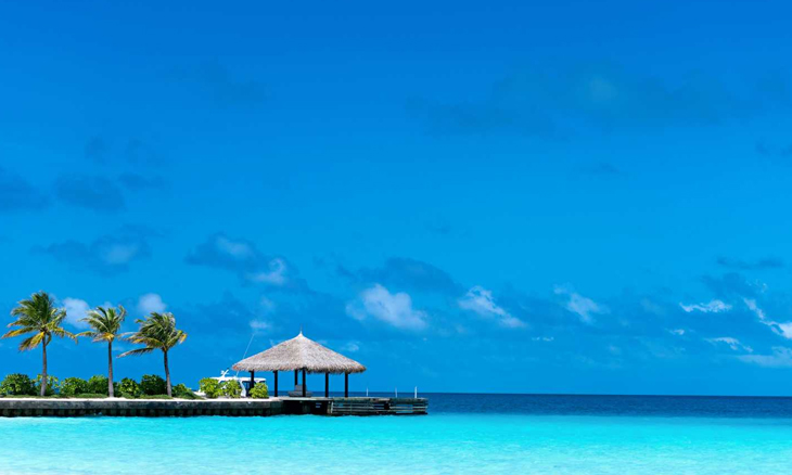 To maldives riyadh Cheap flights