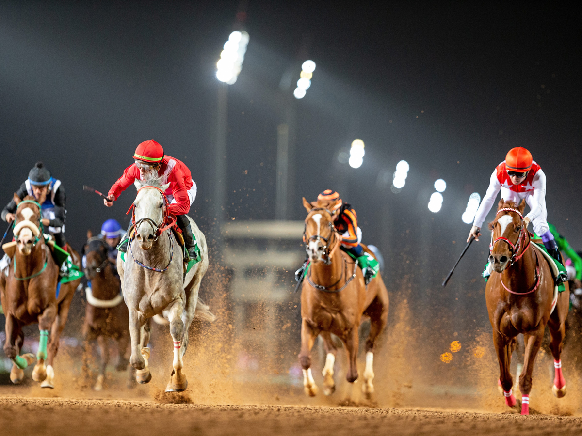 Horse power The Saudi Cup comes to Riyadh