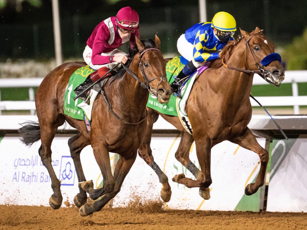 Horse power The Saudi Cup comes to Riyadh