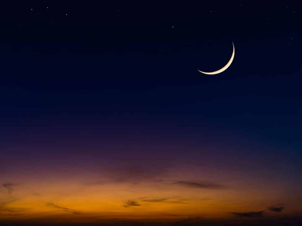 Saudi Flag Day 2024 Everything about the new Saudi holiday dates